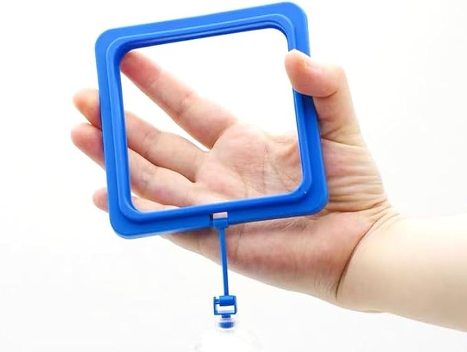 10 pcs Turtle Feeder Accessory Square Turtle Feeding Ring with Suction Cup Nitrifying Balls Tortoise Ball Toy Tortoise Aquatic Toys Fish Goldfish Guppy Koi Puffer Food Holder Tank Floating Feeder