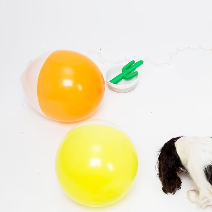 Waggo Dipper Ceramic Dog Bowl for Small and Large Breeds - Heavyweight and Durable Pet Food and Water Dish Crock, Dishwasher Safe, Modern (Dolphin, Small)