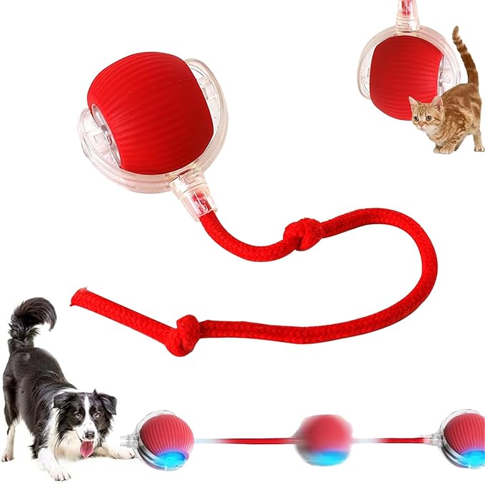 2025 New Interactive Dog Cat Toys Balls,Interactive Rolling Ball Cat Toy, 360° Smart Automatic Rolling Pet Ball, Fast Moving Toy for Dog and Cat(Red)