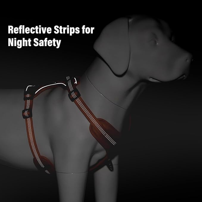 Plutus Pet No Pull Dog Harness, Release at Neck, Soft Padded, Reflective Adjustable Dog Vest Harness for Small, Medium, Large Dogs(Orange, XS)