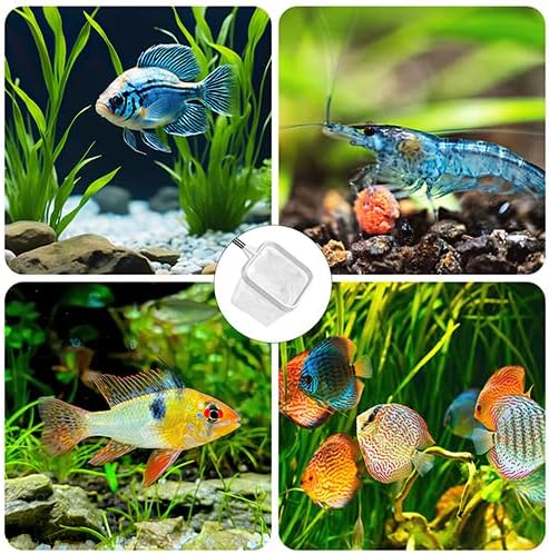 2-Pack White 3-Inch Aquarium Net – Small Fish Tank Tool for Shrimp & Bettas, Fast-Dry Mesh Scoop (Dual-Purpose Cleaner & Decor) by ViiWxx