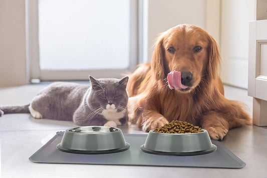 Stainless Steel Dog Bowls, Food and Water Non Slip Anti Skid Stackable Pet Puppy Dishes for Small, Medium and Large Dogs (2 Pack)