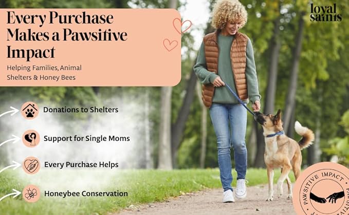 Freeze Dried Raw Dog Food - Premium Turkey and Salmon Flavor with High Protein and Grain Free Dog Food for All Breeds and Picky Eaters - Versatile as Meal Topper, Snack, and Treats, 5 Oz