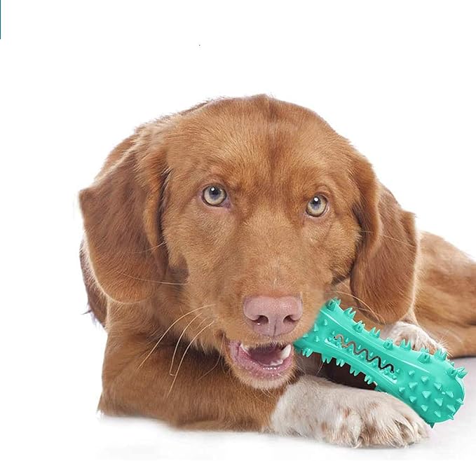 Toothbrush Dog Chew Toy, Stick Bone for Dog Teeth Cleaning, Tooth Brushing, Teething Chew Toys, Dental Oral Care for Small, Medium and Large Dogs(Blue)