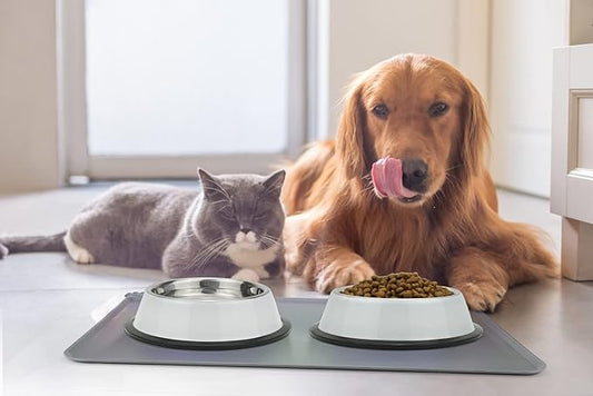 Stainless Steel Dog Bowls, Food and Water Non Slip Anti Skid Stackable Pet Puppy Dishes for Small, Medium and Large Dogs (2 Pack)