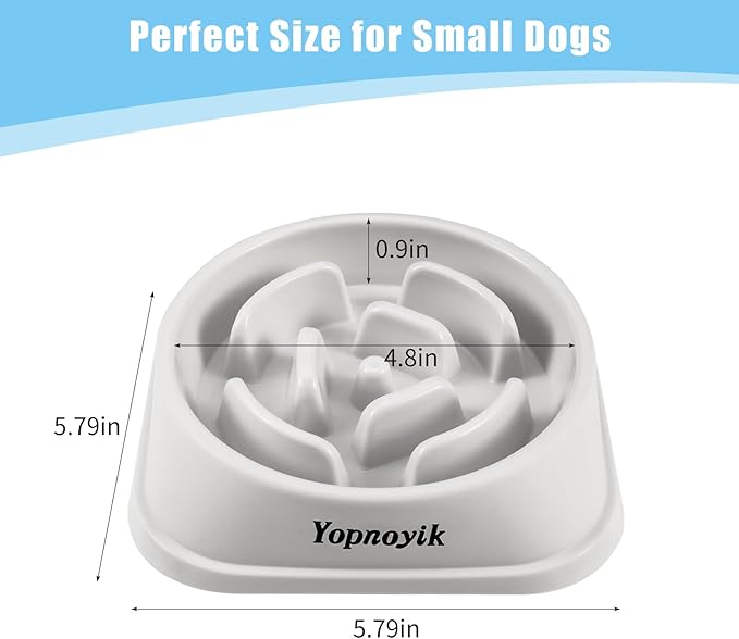 2 Pack Slow Feeder Dog Bowls for Healthy Eating, Non-Slip and Anti-Choking Design, Reduces Bloating & Overeating for Small Dogs, Easy to Clean