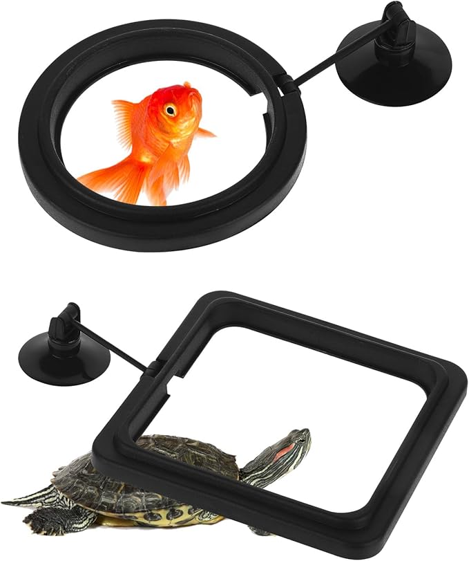 2 PCS Fish Feeding Rings,Black Fish Feeder Round and Square Aquarium Floating Food Feeder Circle with Suction Cup Prevent Water Turbulence from Washing Food into Filter for Guppy, Goldfish and Other