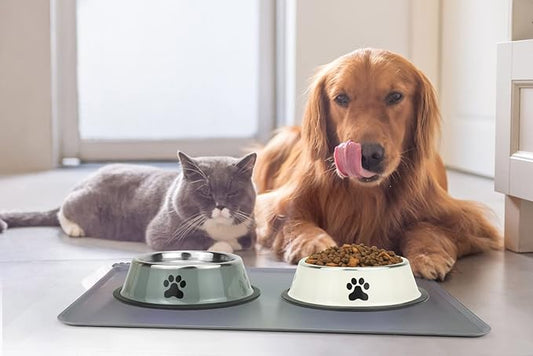 Stainless Steel Dog Bowls, Food and Water Non Slip Anti Skid Stackable Pet Puppy Dishes for Small, Medium and Large Dogs (2 Pack)