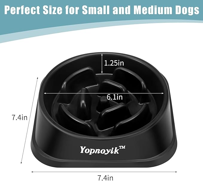 2 Pack Slow Feeder Dog Bowls for Healthy Eating, Non-Slip and Anti-Choking Design, Reduces Bloating & Overeating for Medium Dogs and Cats, Easy to Clean