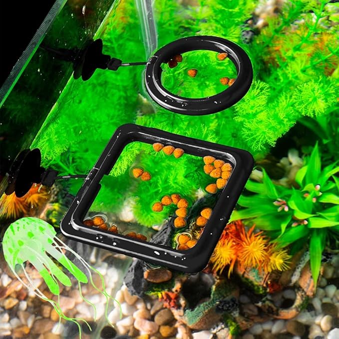 2pcs Feeding Fish Ring Set, Fish Food Feeder +Thermometer Strip, Tank Decor, Aquarium Tank Accessories for Floating Foods, for Betta, Guppy, Goldfish Etc