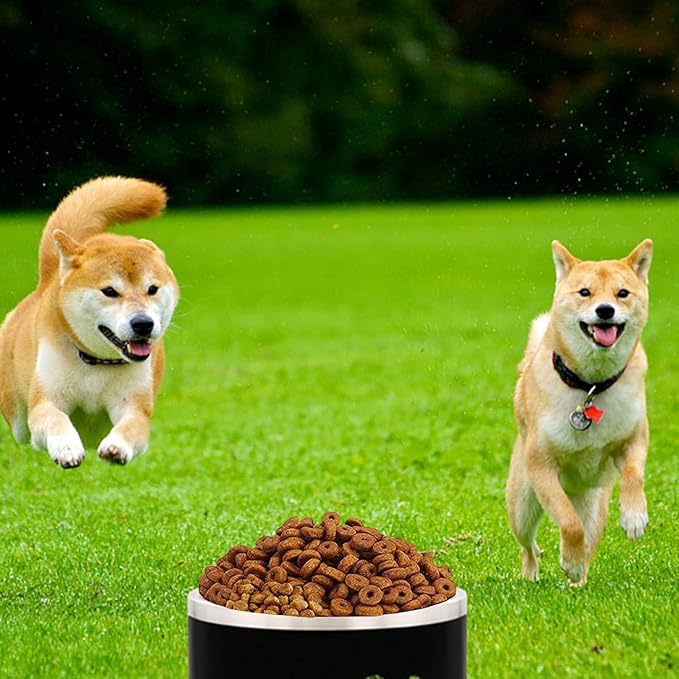 100 Oz Black Dog Water Bowls for Dogs, Extra Large Outerdoor Dog Bowls Stainless Steel Cats Puppy Insulated Compound Festival Gifts for Dogs Mom Family Lover (100OZ, Black)