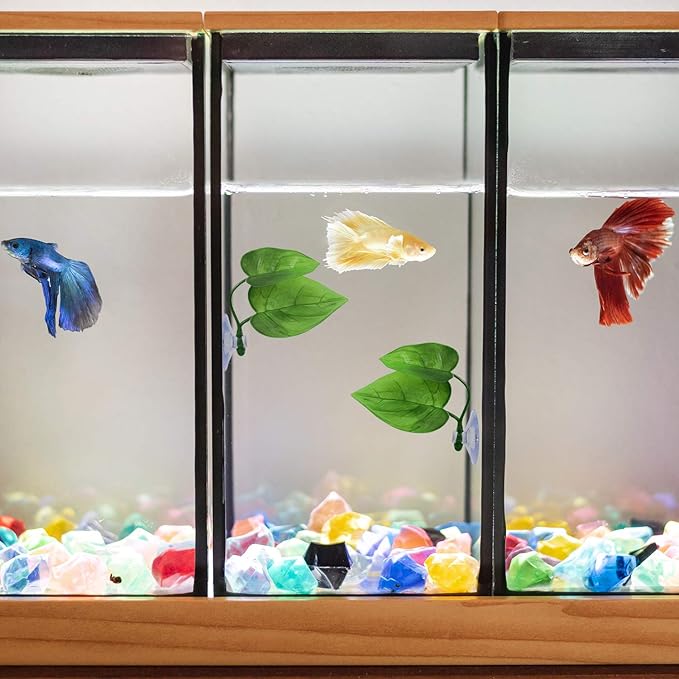 URATOT 4 Pack Betta Fish Leaf Pad Simulating The Natural Habitat for Betta Spawning Grounds Breeding Resting Bed