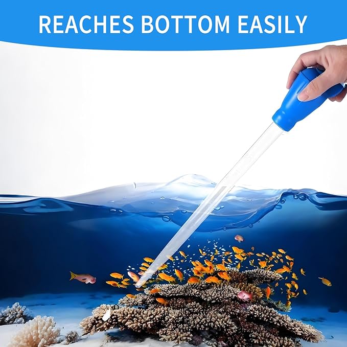 1 Piece Aquarium Coral Feeder with 1 Piece Stainless Steel Feeding Long Tweezers Syringe Spot Coral Feeder Reptile Feeding Tools for Aquatic Plant Reef Anemones Lionfish (Blue, Silvery)