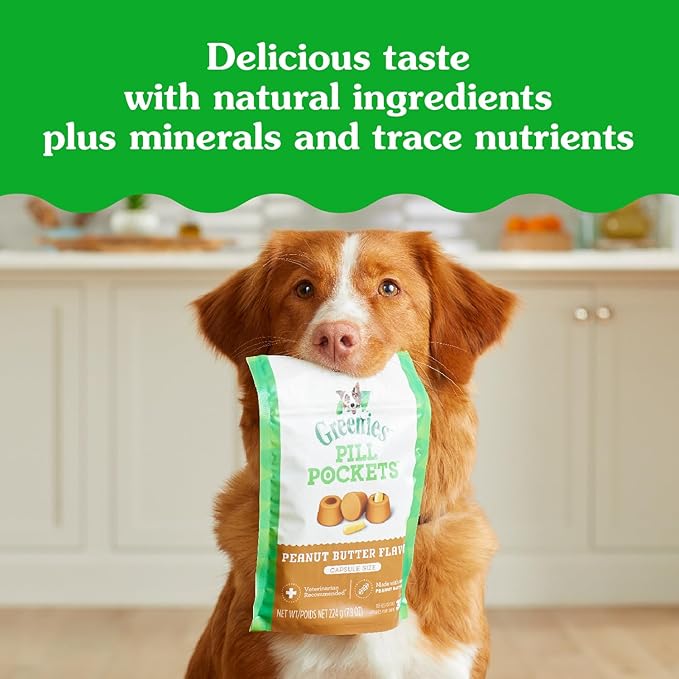 Greenies Pill Pockets for Dogs Large Size, Soft Dog Treats, Real Peanut Butter Flavor, (6) 7.9 oz. Pouches (180 Treats Total)