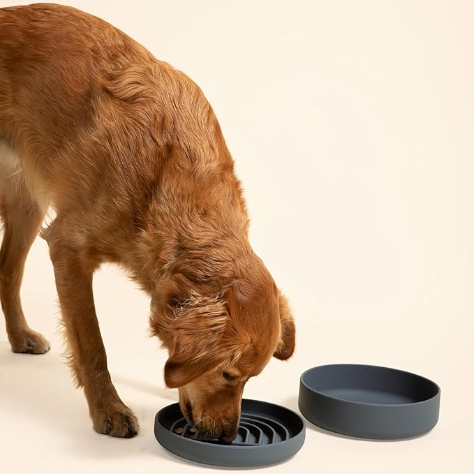 The Perfect Dish No-Spill Dog Water Bowl, Less Mess Non-Tippable Water & Food Bowl, Pure Silicone with Suction Cup, Fits 8 Cups 9.5" Across x 2.5" Tall Ideal for All Pets, Large-Blush