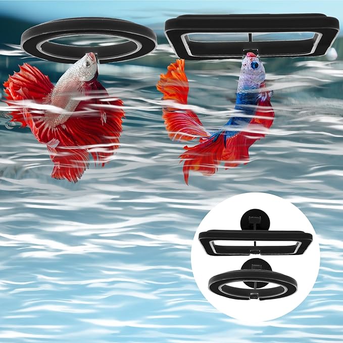 2 PCS Fish Feeding Rings,Black Fish Feeder Round and Square Aquarium Floating Food Feeder Circle with Suction Cup Prevent Water Turbulence from Washing Food into Filter for Guppy, Goldfish and Other