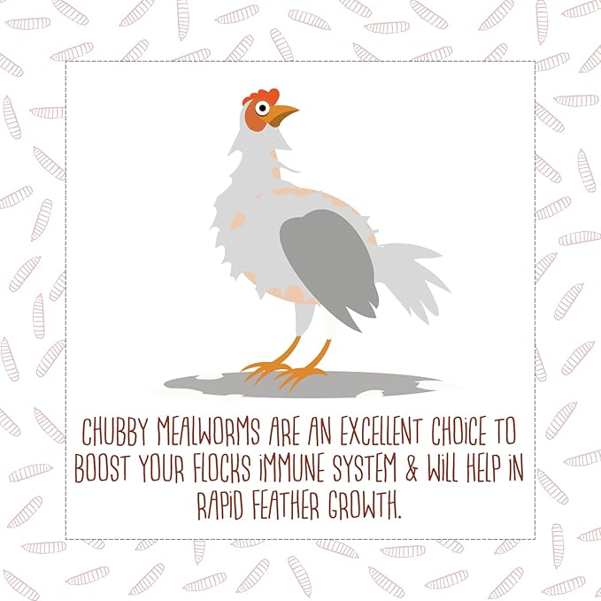 15Lbs Chubby Dried Mealworms Premium Mealworms Large Resealable Bag with Handle