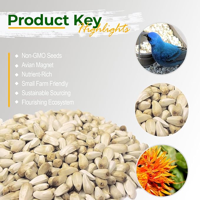 Wildlife Safflower Seed for Wildlife Bird Feeding, Non-GMO and USA Small Farm Grown, 50 lbs