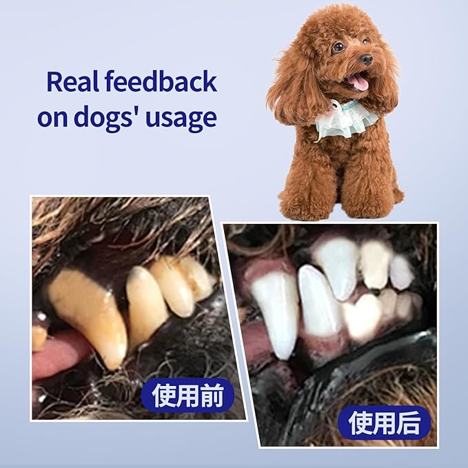 Dog Toothbrush, Dog Toothbrushs Kit with 2pc 360 Degree Tooth Brushing Head and Premium Non-Slip Handle, for Small to Medium Dogs, Soft-Bristled