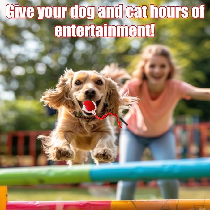 2025 New Interactive Dog Cat Toys Balls,Interactive Rolling Ball Cat Toy, 360° Smart Automatic Rolling Pet Ball, Fast Moving Toy for Dog and Cat(Red)