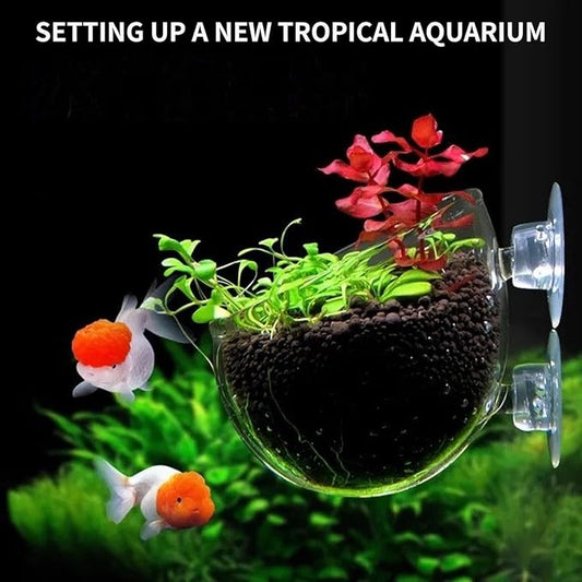 2 PCS Aquarium Plant Holder Top Hanging Fish Tank Plant Pot Aquarium Planter Cups for Water Feature Decoration