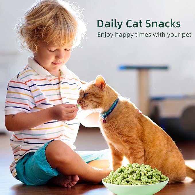 Cat Hairball Treats, 16 Oz Kitty Teeth Cleaning Catnip for Indoor, Fish Shape Cat Nip Dry Food, Healthy Chicken and Salmon Flavor Grass Biscuits