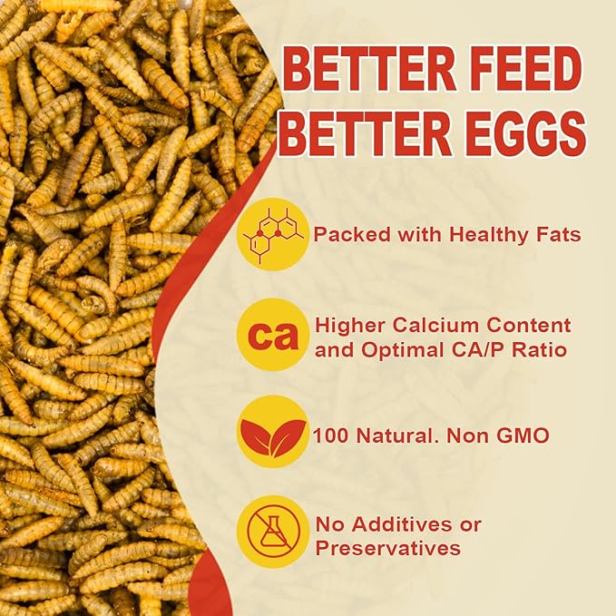 11LB Dried Black Solider Fly Larvae, BSFL is High Protein Chicken Feed with 85x More Calcium Than Dried Mealworms, Poultry Treats, Chickens Love, Birds Love, Hens Love, Ducks Love