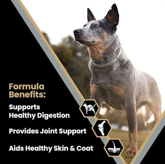 VICTOR Super Premium Dog Food – Purpose – Senior Healthy Weight Management – Dry Dog Food for Adult Dogs – Gluten Free with Glucosamine and Chondroitin, for Hip and Joint Health, 15lbs