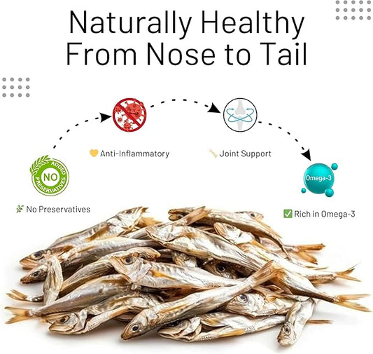 Gluten Free Herring Dried Fish Pet Treats - Infused with Turmeric, Pure Wild-Caught Single Ingredient Snack, Healthy Made in Alaska, Rich in Protein Fish & Nothing Else (3.5 Oz)
