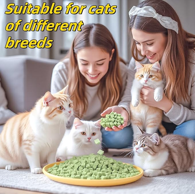 250g/8.82oz Cats Grass Treats Cat Toy for Teeth Cleaning Lickable Catnip Chew Snack for Indoor Fish Oil Flavored Kitty Freeze Dried Food Kitten Grass Teething Stick Hairball Removal Dog Treat