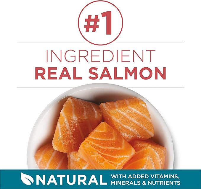 Purina ONE Natural Dry Cat Food, Tender Selects Blend with Real Salmon - 22 lb. Bag