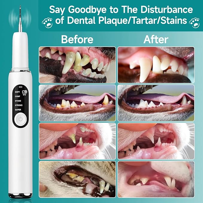 Ultrasonic Dog Toothbrush – Electric Plaque & Tartar Remover Kit with 5 Modes and 2 Heads, Gentle and Safe Teeth Cleaning Tool for Dogs, Improves Pet Oral Health