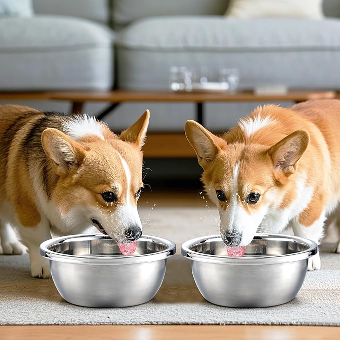 2 Pcs 0.7 Gallon Dog Bowls for Small Medium Dogs - Food Grade Stainless Steel Metal Water Bowl, Easy to Clean Food Bowls for Indoor Outdoor