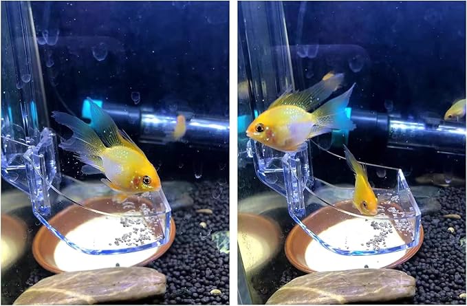 Aquarium Fish Shrimp Feeding Dish Set, Transparent Shrimp Feeding Tube, Fish Tank Feeding Supplies with Feeding Ring Cleaning Brush