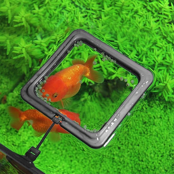 2 Pcs Small Fish Feeding Ring, Floating Food Feeder with Strong Suction Cup Aquarium Feeding Ring for Floating Aquariums and Fish Tanks