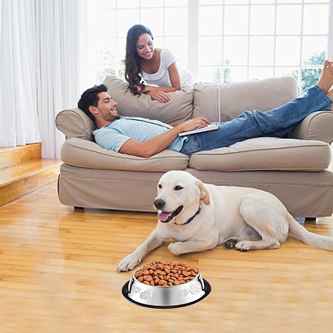 10 Pcs Stainless Steel Dog Bowl Pet Feeding Bowl with Rubber Base Non-Slip Pet Dishes Metal Dog Bowls Pet Food and Water Bowls for Small Medium Animals Kitten Rabbit (30 oz)