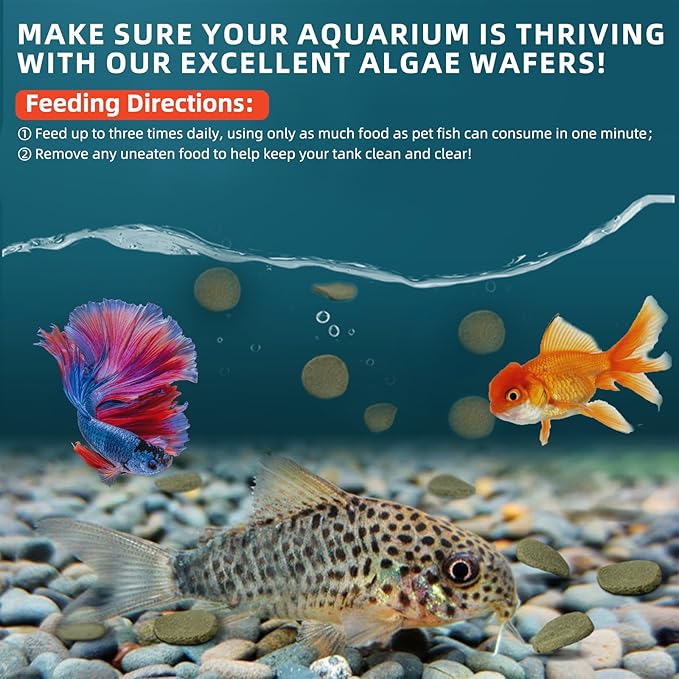 Aquarium Fish Sinking Food, Nutritionally Balanced Shrimp Fish Food, Daily Diet for All Bottom Feeders, Fresh Seafood Formula, 1.76 Ounces