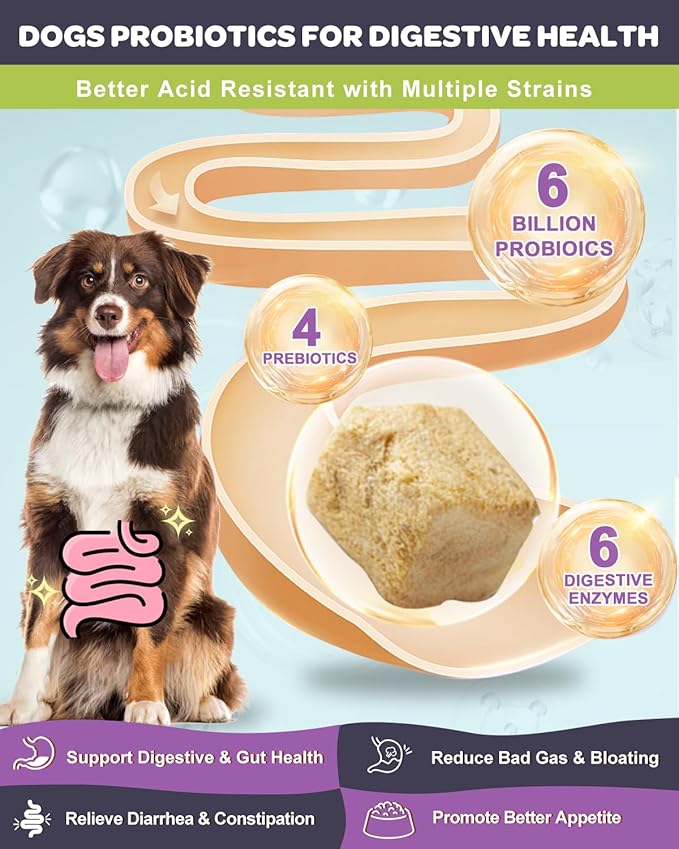 NATURE TARGET Probiotics for Dogs, 6 Billion CFUs Dog Probiotics for Digestive Health with Prebiotic and Digestive Enzymes, Rich in Omega 3 and Vitamins for Skin & Coat, Salmon-Flavored - 120 Counts