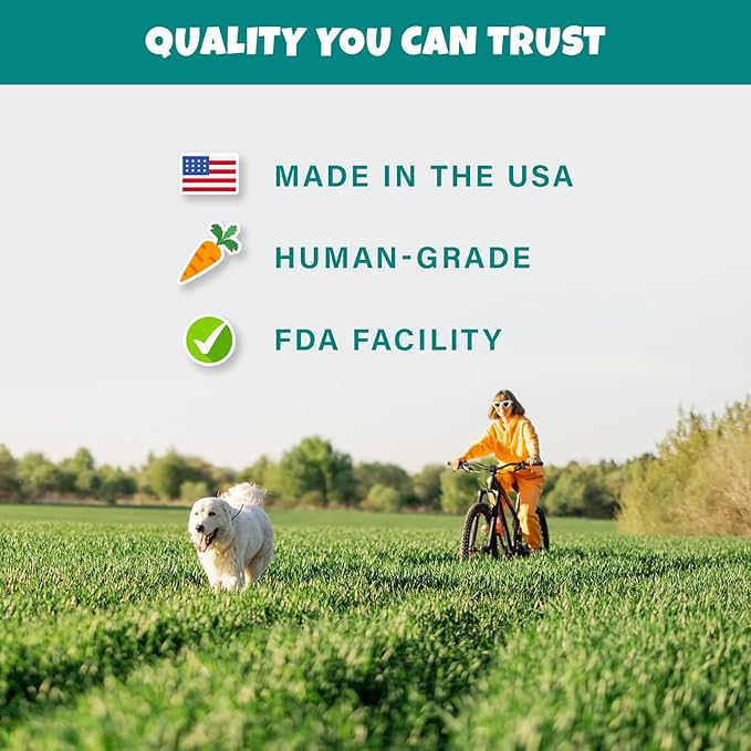 Wildberry Plant-Based Fruit Dog Treats - Strawberry, Apple, Blueberry Soft & Chewy - Vegetarian, Vegan Dog Treats with Organic Ingredients - Low-Protein, Hypoallergenic, Gluten-Free