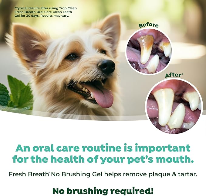 TropiClean Fresh Breath No Brushing Clean Teeth Dental & Oral Care Gel for Dogs, 4oz - 3 Pack