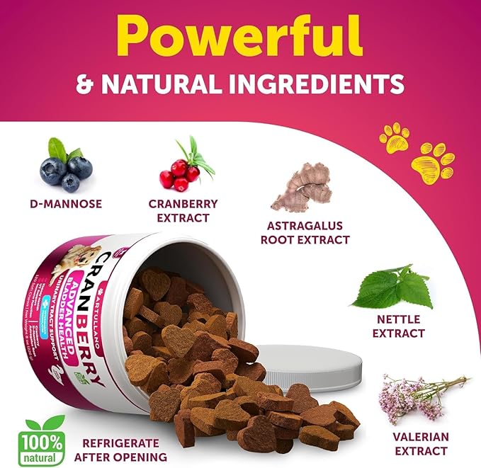 Dog UTI Treatment - Cranberry Supplement and Bladder Control for Dogs - UTI Chewable Treats (2 Pack) - 240 Chews for Kidney Support - Bladder Stones - Urinary Tract Infection Incontinence Treatment