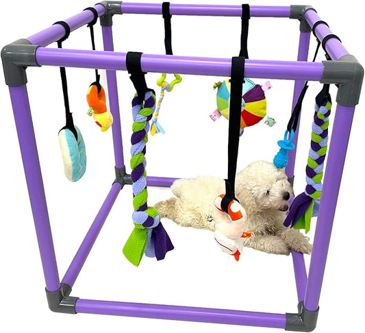 Puppy Play Gym for Small Dogs with 8 Hanging Toys, Jungle Playground with Interactive Funny Enrichment Toys to Keep Them Busy