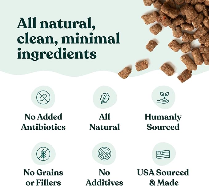 Little Hunter- Freeze Dried Dog Food Raw USDA Beef | for Small & Large Breeds | High Protein + Organic Fruits & Veggies Veterinarian Made Small Batch