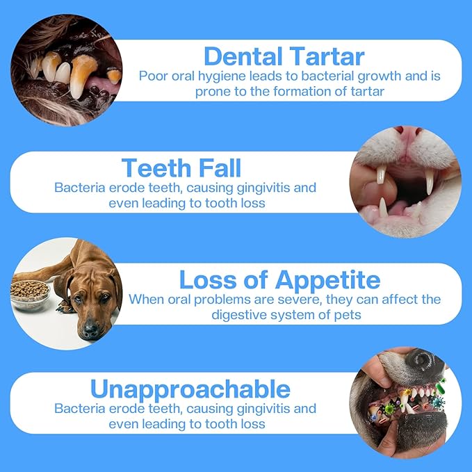 7 Pack Dog Toothbrush Kit,360º Pet Toothbrush Soft Nano Bristles Tooth Brush for Cat Dog Puppy Kitten Dental Care, Oral Hygiene