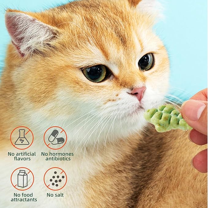Cat Hairball Treats, 16 Oz Kitty Teeth Cleaning Catnip for Indoor, Fish Shape Cat Nip Dry Food, Healthy Chicken and Salmon Flavor Grass Biscuits