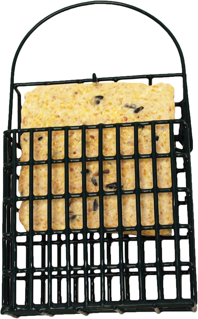 Wildlife Sciences Woodpecker Blend Suet Cakes, 11 oz., 12 Suet Cakes