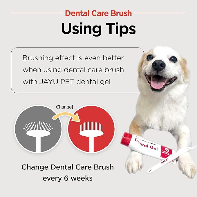JAYU PET Dental Care Brush (Soft Bristles) 1ea - Dog Toothbrush, Cat Toothbrush, Dental Care for Kitten and Small Dogs, Removing Old Plaque and Tartar, Cat Teeth Brushing & Easy Cleaning