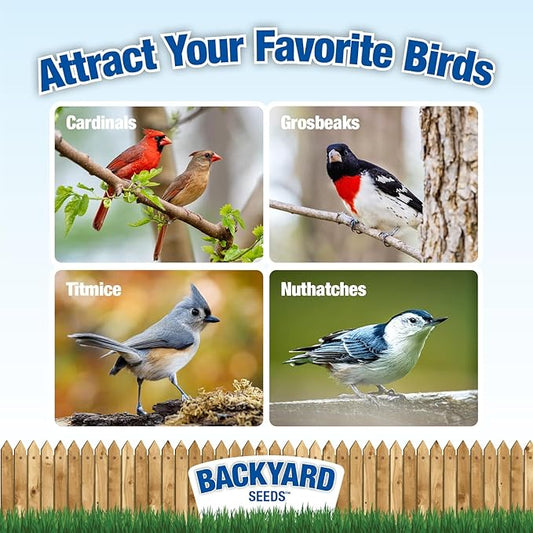 Backyard Seeds Safflower Bird Seed for Cardinals (10 Pounds)
