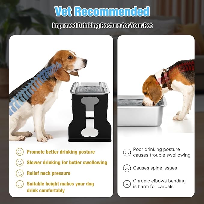 0.85 Gallon Elevated Dog Bowl, 10" Raised Dog Bowl with Stand for Medium Breed, Full Metal for Joint Pressure Relief, Easy Clean for Indoor Outdoor