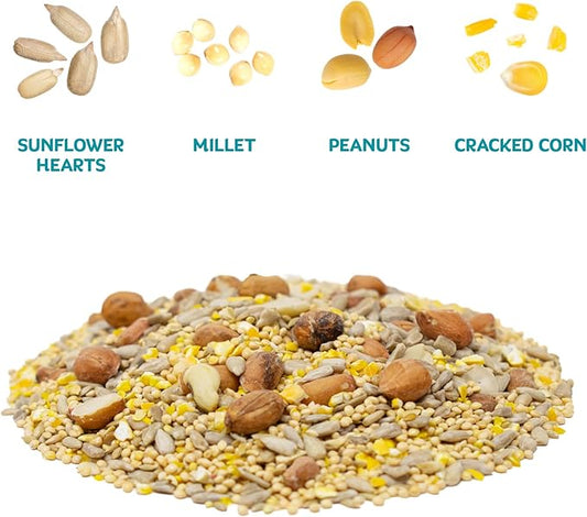 Audubon Park Waste Free Wild Bird Seed – 12 lb. No Mess Blend with Sunflower Hearts & Peanut Pieces – Bird Food for Outside Feeders